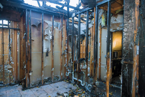 Professional Fire Damage Removal technician working in Berlin, NJ